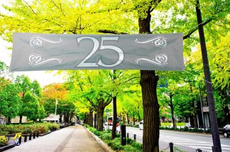 spandoek 25