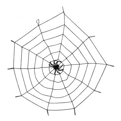 Decoratief spinnenweb met spin.