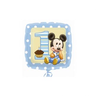 Mickey 1 jaar