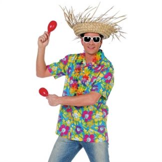 hawaii-shirt