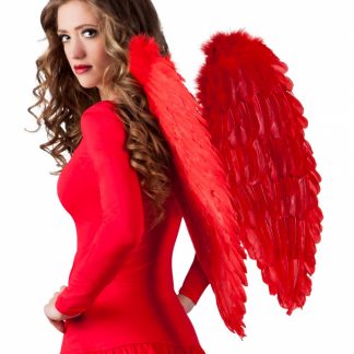 vleugels veren wings rood