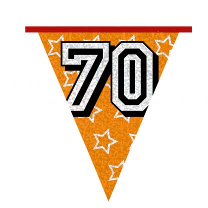 Holografische Vlaggenlijn 70 - Afbeelding 5