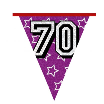 Holografische Vlaggenlijn 70 - Afbeelding 6