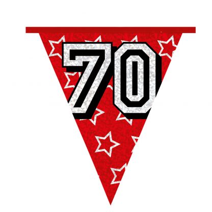 Holografische Vlaggenlijn 70 - Afbeelding 7