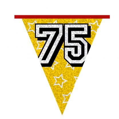 Holografische Vlaggenlijn 75 - Afbeelding 5