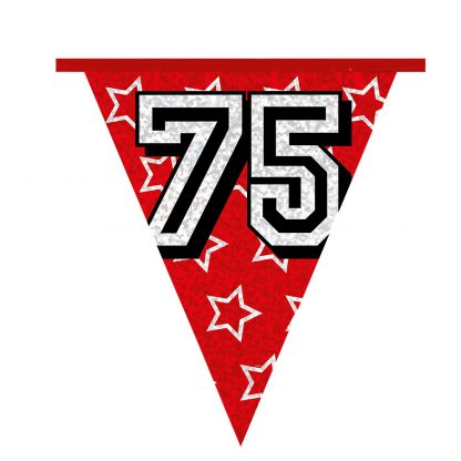 Holografische Vlaggenlijn 75 - Afbeelding 8