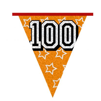 Holografische Vlaggenlijn 100 - Afbeelding 5