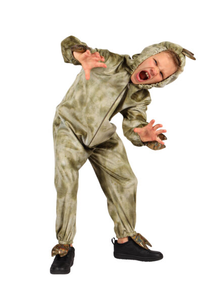 Dino onesie